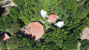 Apartamentos GoPipa934